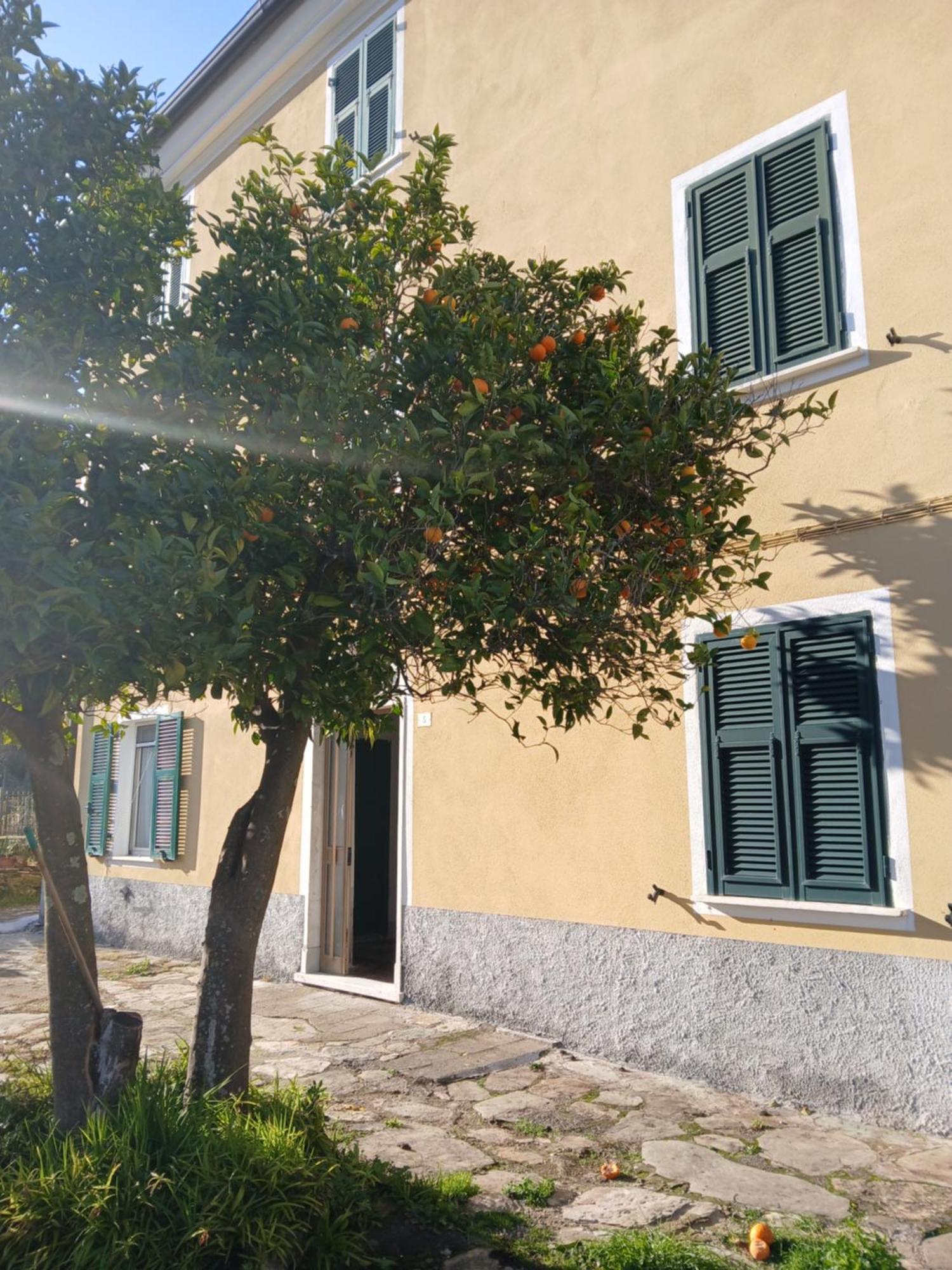 Casa Misha Tra 5 Terre E Versilia Bocca di Magra Exterior photo